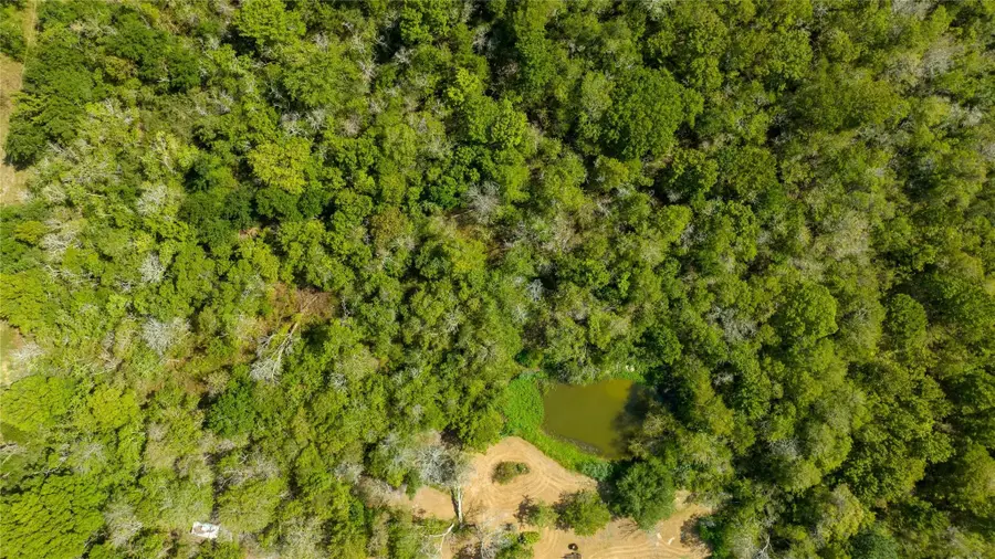 8321 Fm 517 S, Dickinson, TX 77539 - #2
