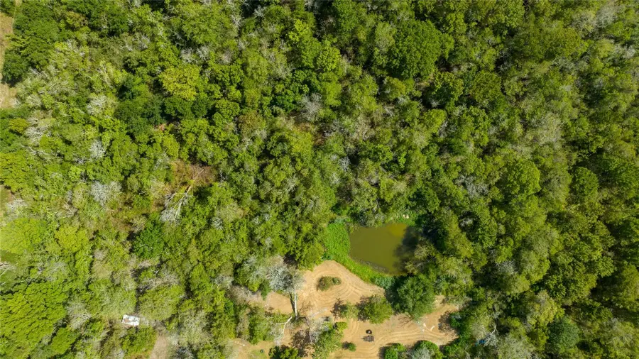 8321 Fm 517 S, Dickinson, TX 77539 - #3