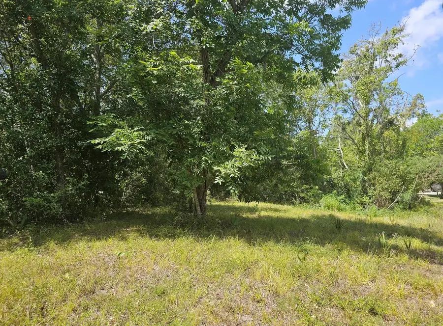 TBD 00 County Road 825, West Columbia, TX 77486 - Image #3