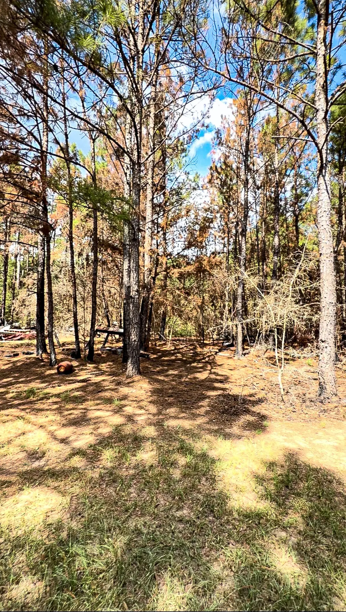 601 Oak Ridge Road, Willis, TX 77378 - #1