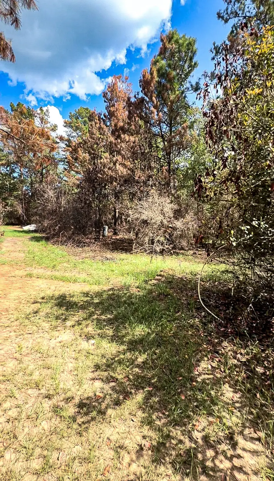 601 Oak Ridge Road, Willis, TX 77378 - #3