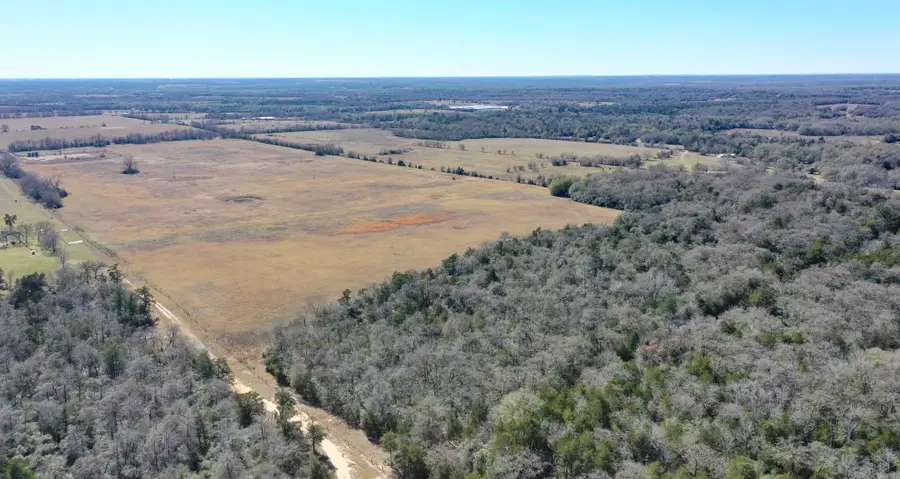 TBD Cr 328, Tract 3, 10 Acres, Caldwell, TX 77836 - Image #3