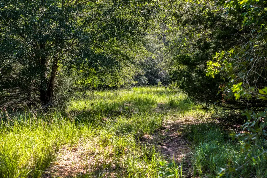 9808 Fm-908, Caldwell, TX 77836 - #2