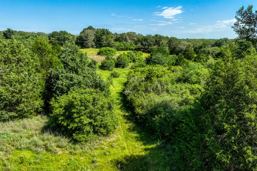 9808 Fm-908, Caldwell, TX 77836 - #3