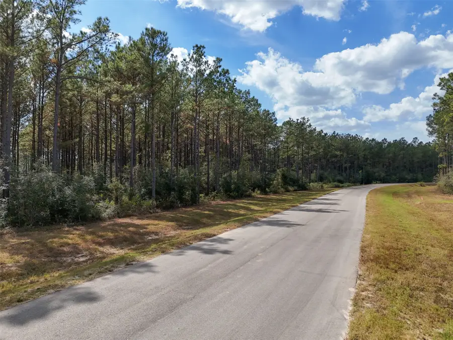 15531 Forest Grove Drive, Willis, TX 77378 - Image #2