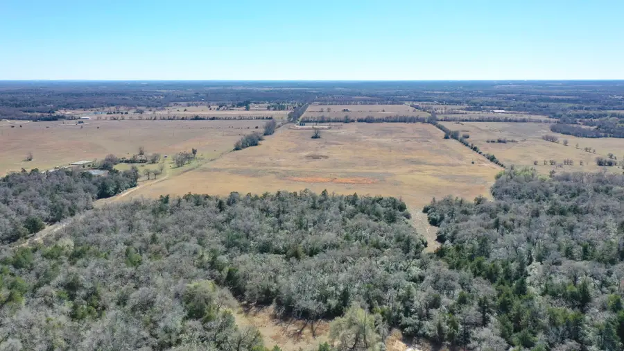 TBD Cr 328, Tract 4, 10 Acres, Caldwell, TX 77836 - Image #2