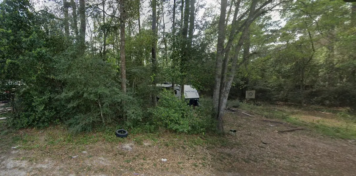 108 Peach Creek Drive, New Caney, TX 77357 - #1