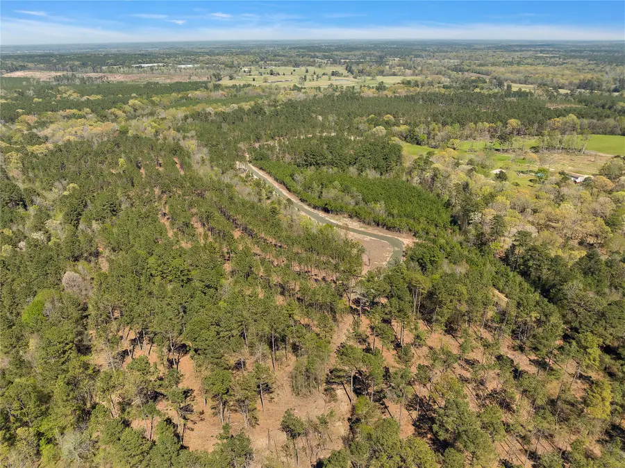 492 Piney Creek Estates Road, Timpson, TX 75975 - Image #3