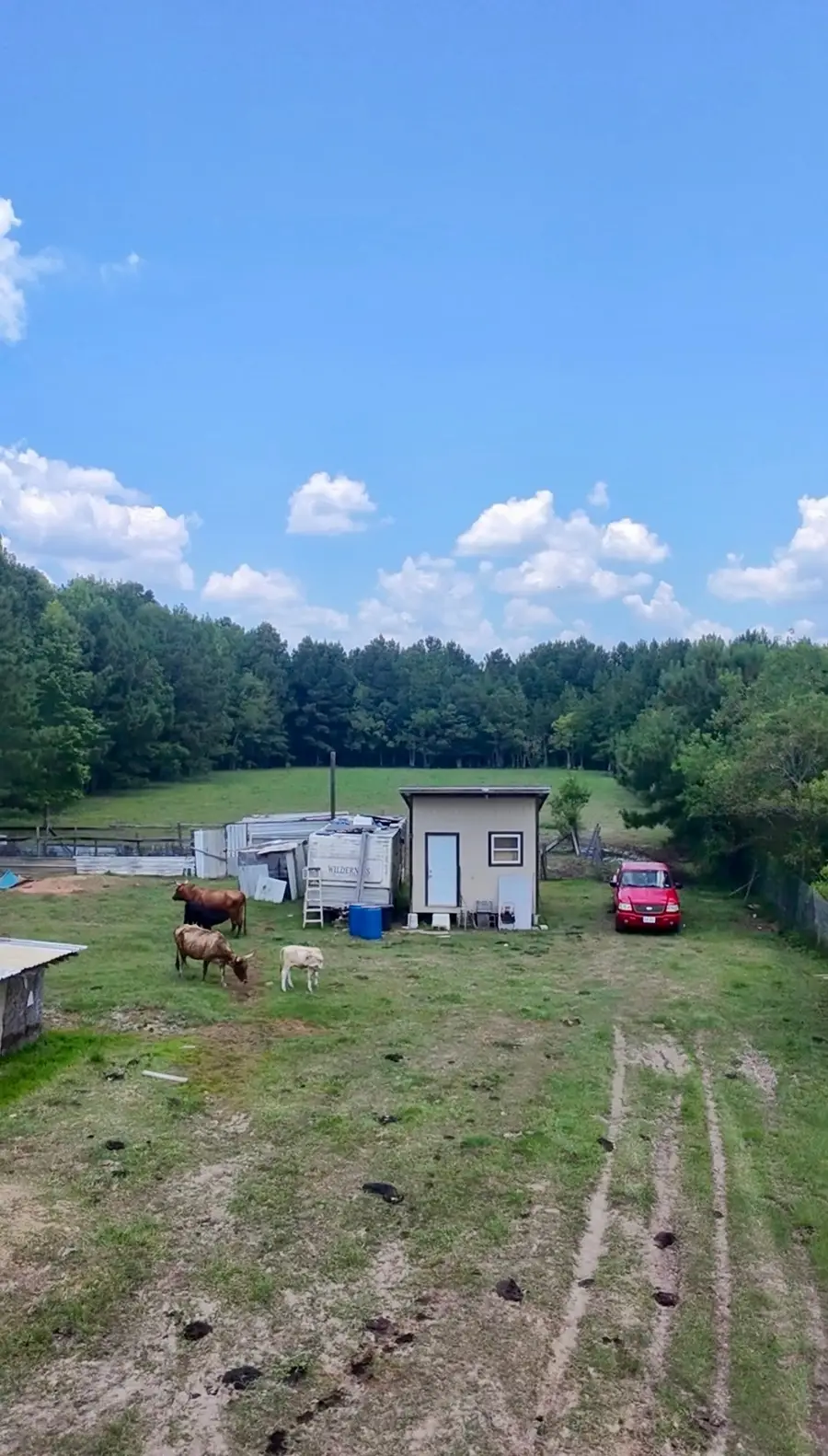 464 Road 3011a, Dayton, TX 77535 - #3