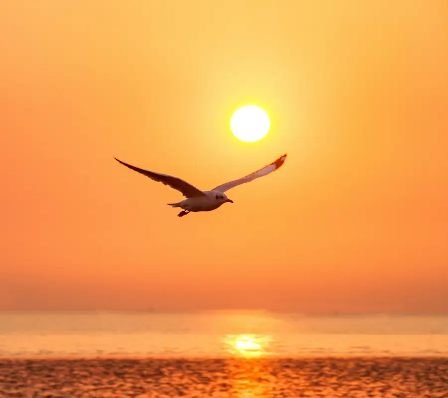 1228 N Redfish Street, Crystal Beach, TX 77650 - Image #3