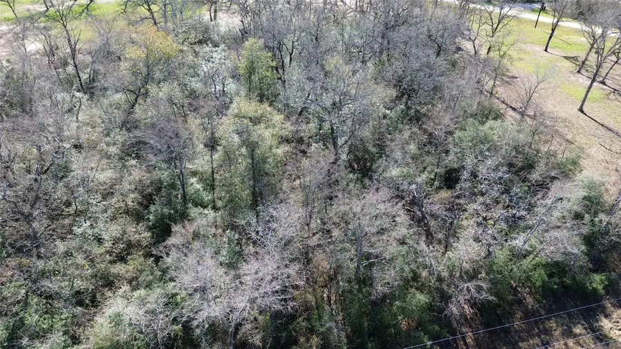 Lot 34 Cr 3675, Marquez, TX 77865 - Image #2