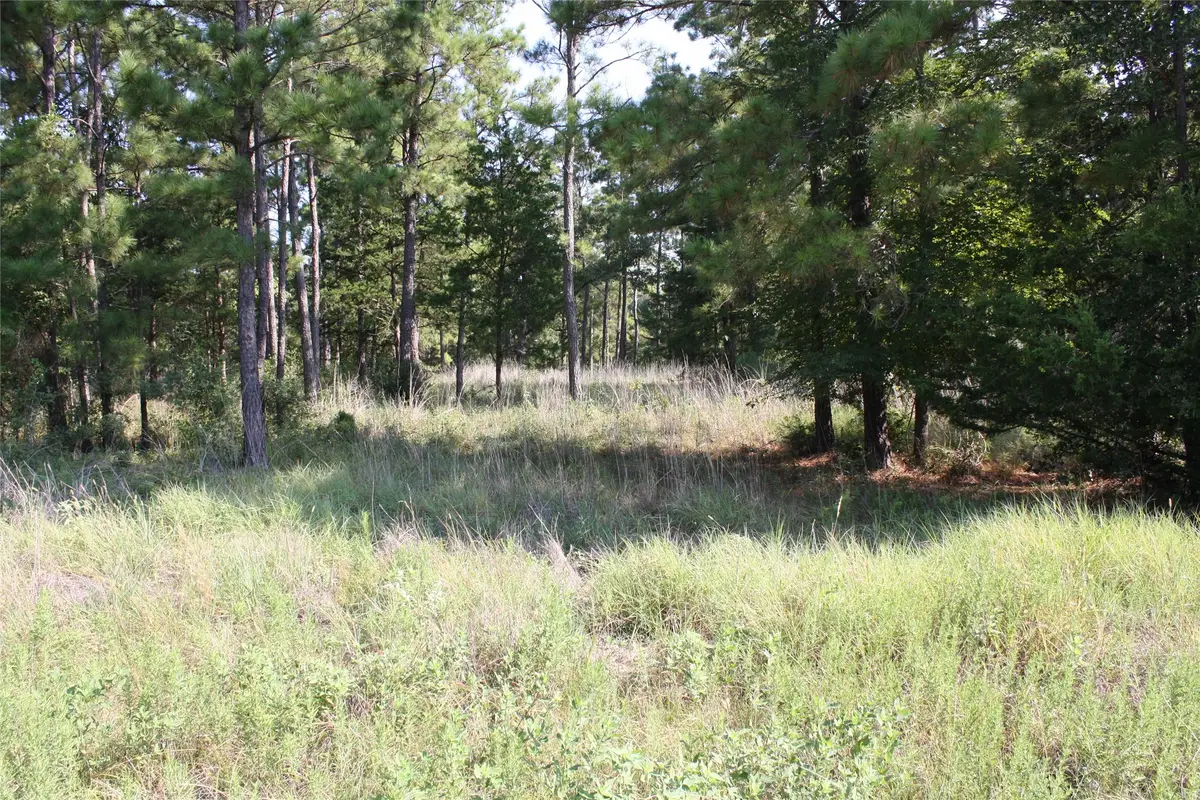 Lot 4 Morris Lane, Huntsville, TX 77320 - Image #1