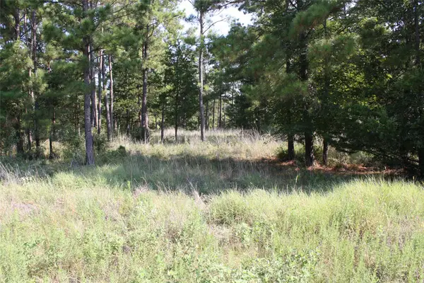Lot 4 Morris Lane, Huntsville, TX 77320