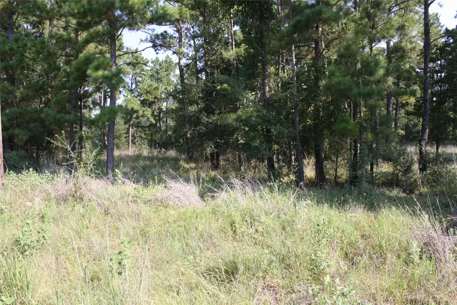 Lot 4 Morris Lane, Huntsville, TX 77320 - Image #2