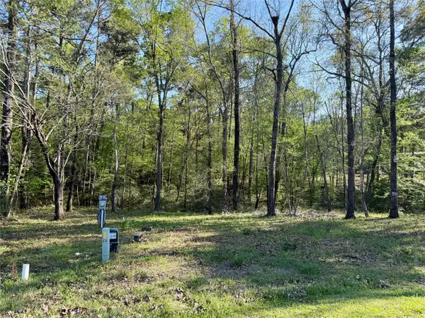 TBD Leaning Oak Drive, Point Blank, TX 77364