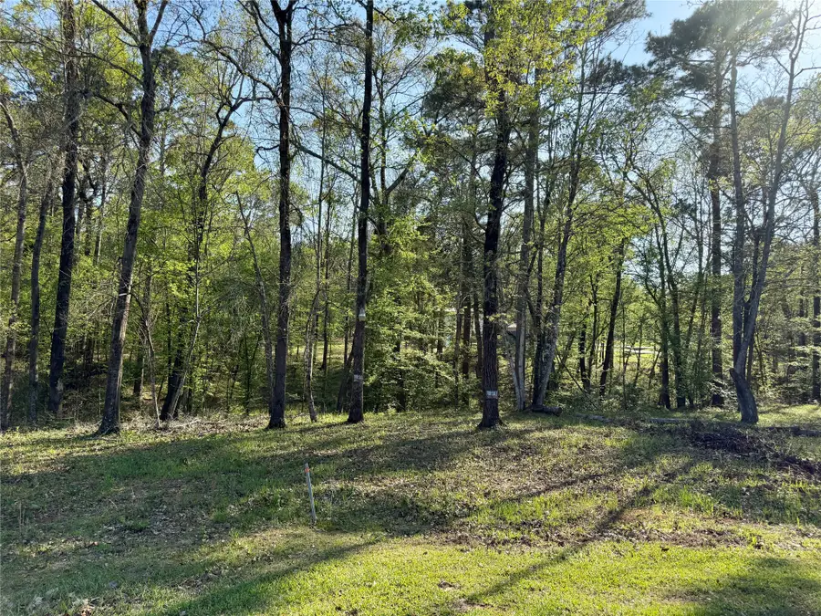 TBD Leaning Oak Drive, Point Blank, TX 77364 - #3