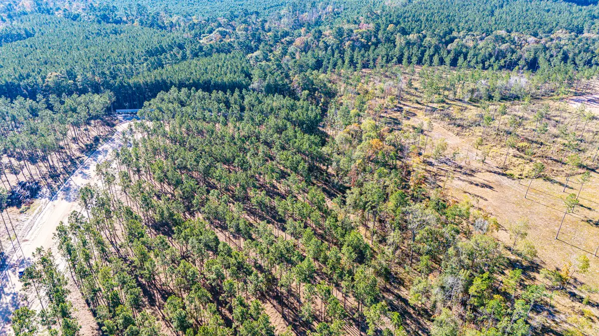 0012 Big Buck Drive, Moscow, TX 75960 - Image #1