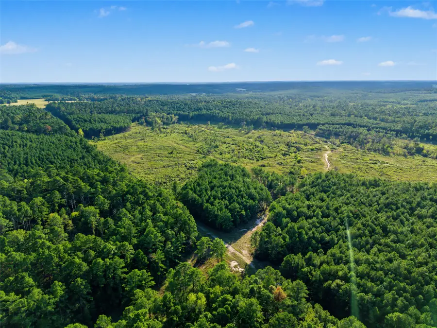 00 Fm 980, Huntsville, TX 77320 - #2