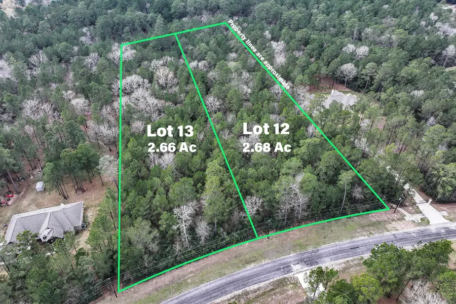 Lot 13 Chisholm Trail, Huntsville, TX 77340 - #3