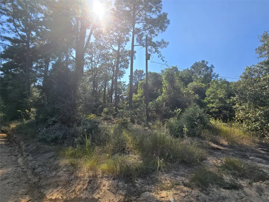 R20785 County Road 3325, Colmesneil, TX 75938 - Image #3