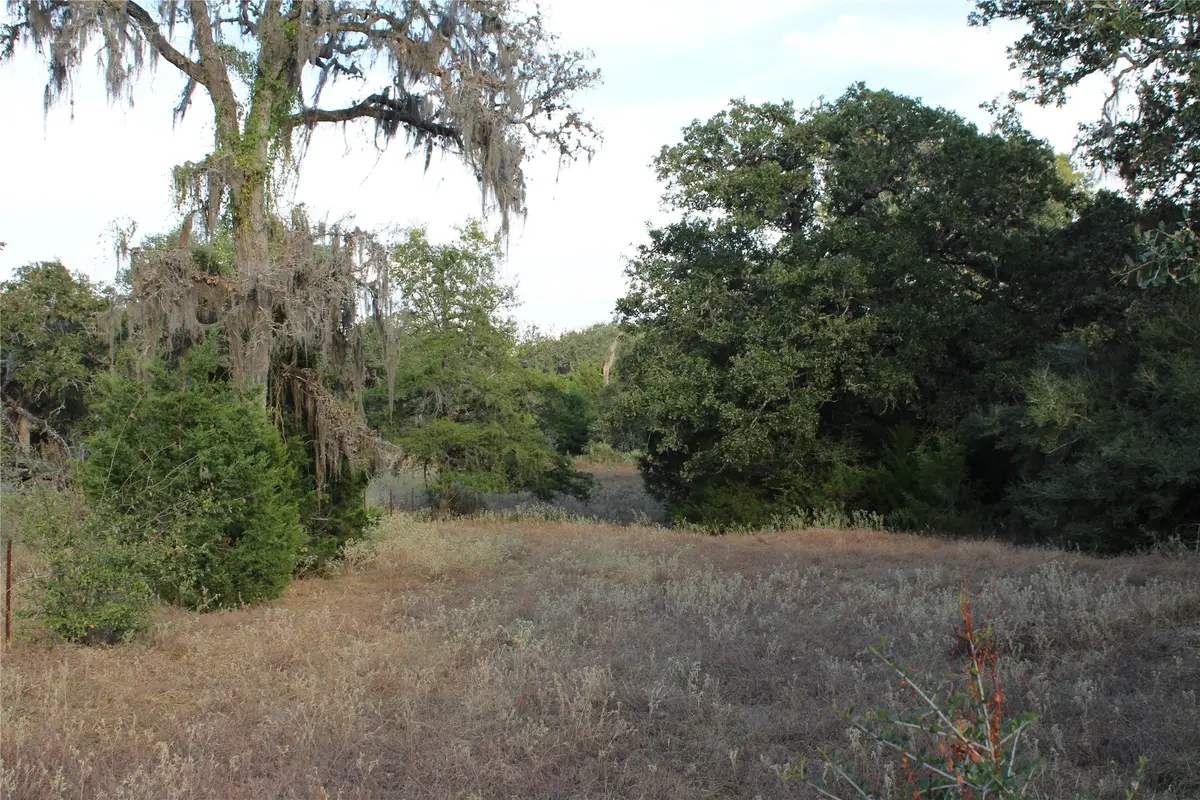 TBD Parcel 4 Lobo Lane, Columbus, TX 78934 - #1