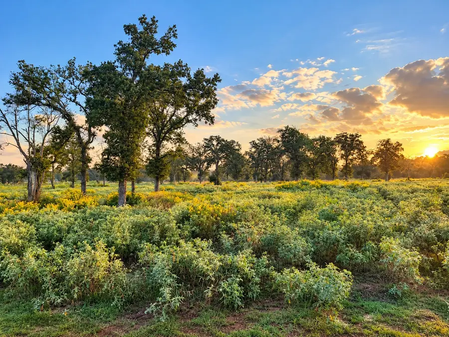 1791 County Road 441, Harwood, TX 78632 - #3