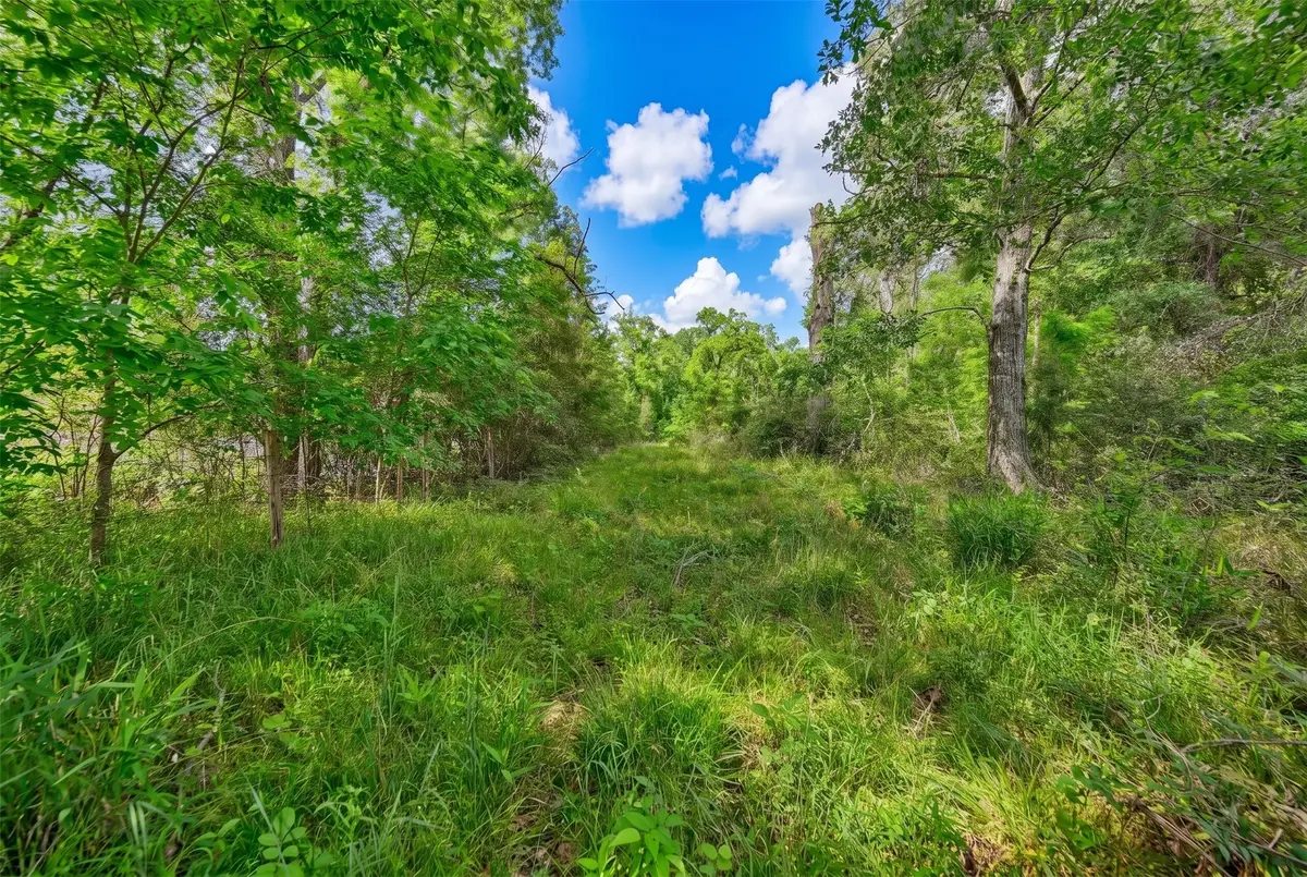 4321 Gaskamp Road, Washington, TX 77880 - #1