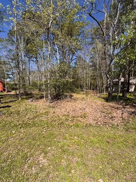 11 Cherry Hills Drive, Coldspring, TX 77331