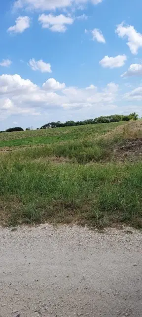 SH 171 Hcr 4123, Itasca, TX 76055 - #3