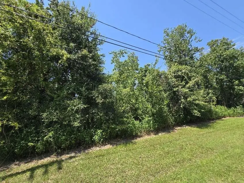 19007 Rio Villa Drive, Houston, TX 77049 - #1