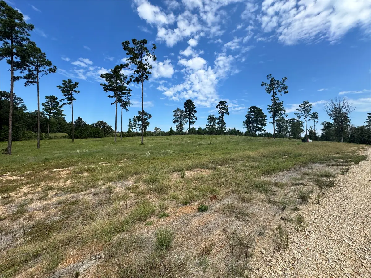 123 Anna Grace, Livingston, TX 77351 - #1