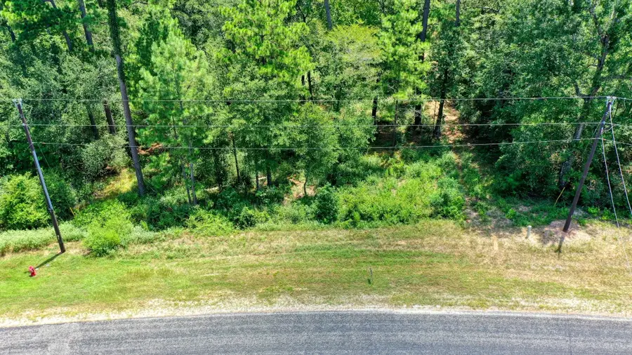 4a-11-55 Sundog Road, Huntsville, TX 77340 - #3