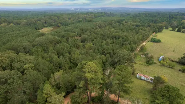 770 County Rd 1675, Grapeland, TX 75844