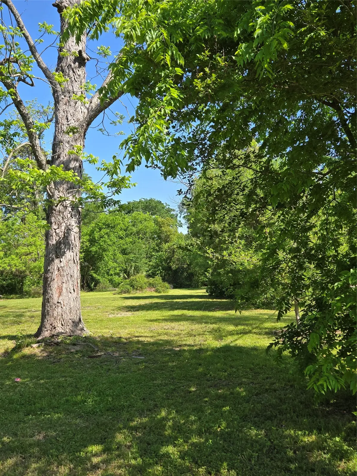 502 Del Norte Street, Houston, TX 77018 - #1