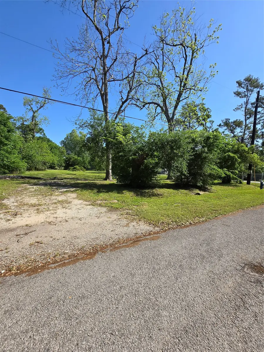 502 Del Norte Street, Houston, TX 77018 - #3