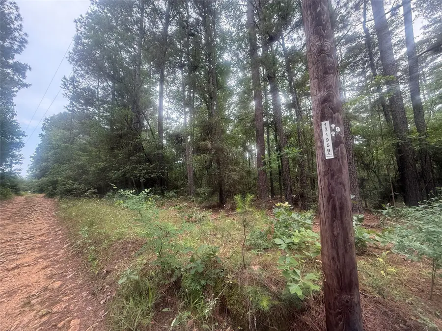 000 County Road 2135, Crockett, TX 75835 - Image #2