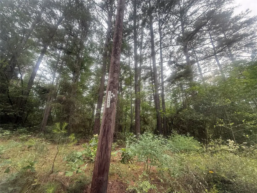 000 County Road 2135, Crockett, TX 75835 - Image #3