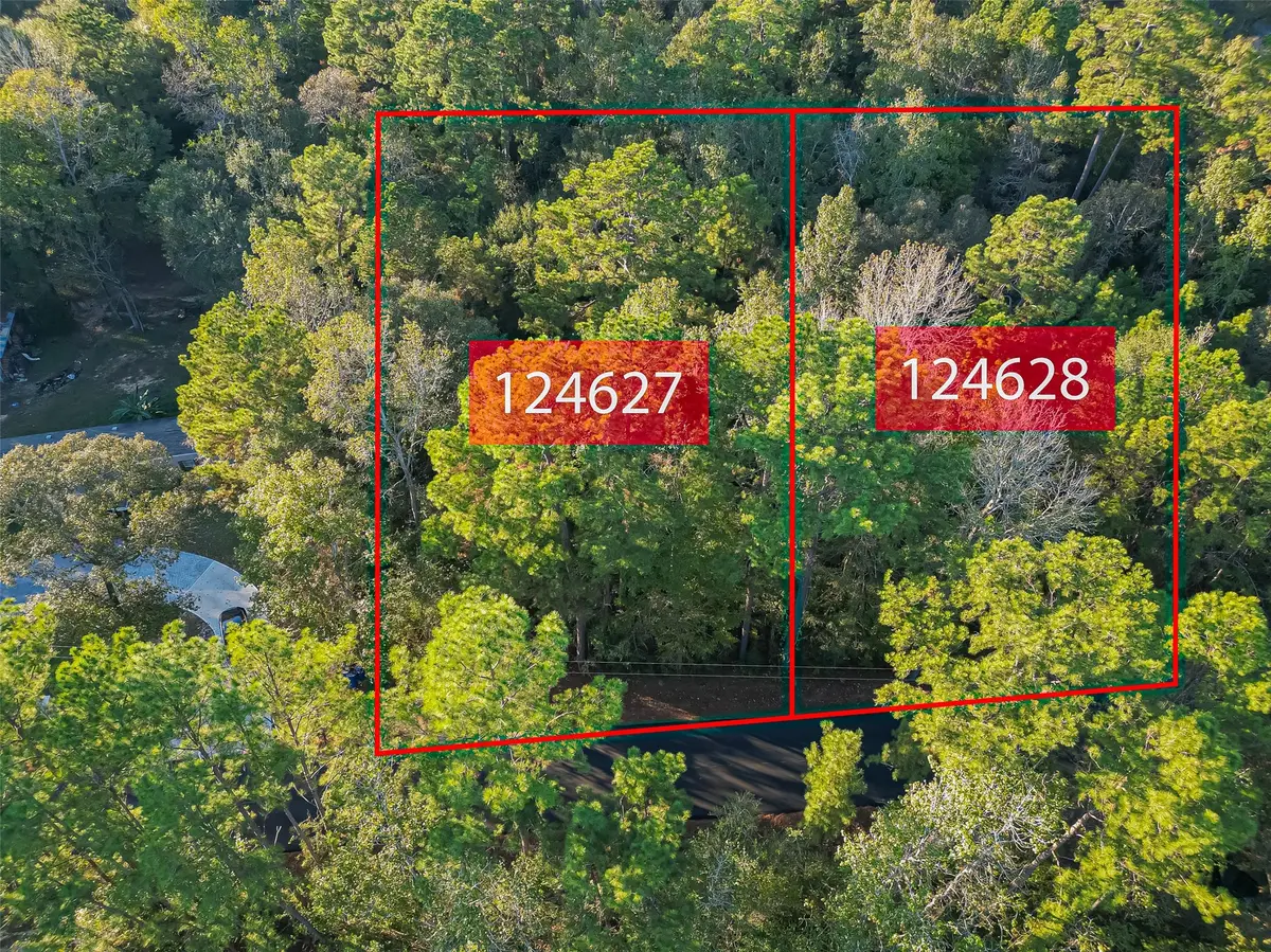 TBD Lake Mount Pleasant Road, Montgomery, TX 77356 - Image #1