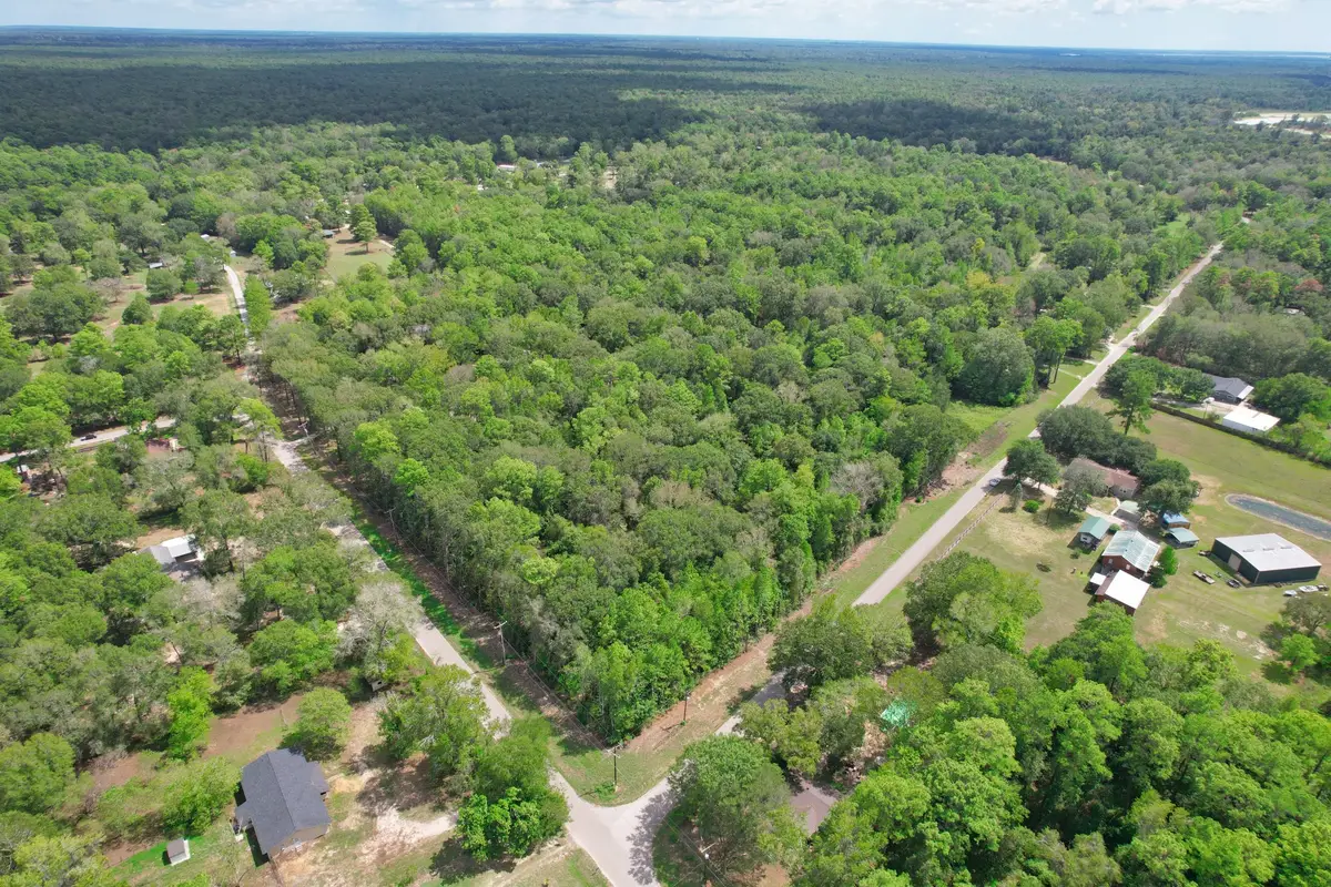 21699 Carol Road, New Caney, TX 77357 - #1