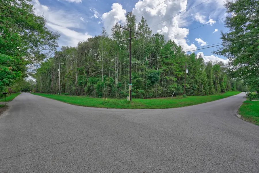 21699 Carol Road, New Caney, TX 77357 - #3