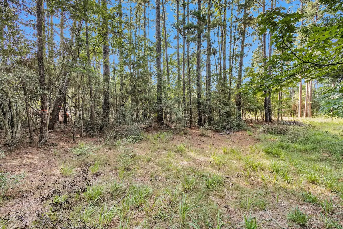 1505 Cheyenne Loop, Montgomery, TX 77316 - #1