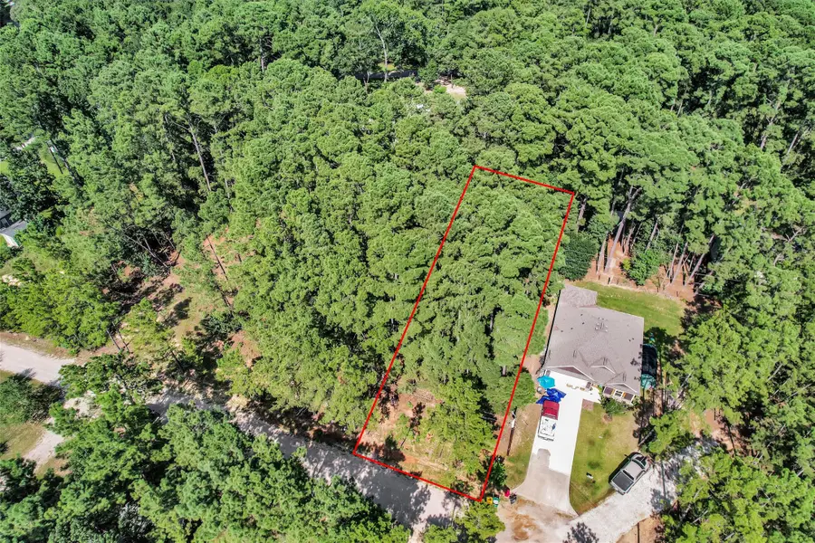 1505 Cheyenne Loop, Montgomery, TX 77316 - #2