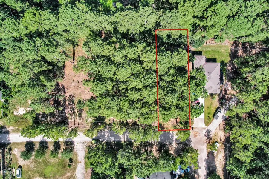 1505 Cheyenne Loop, Montgomery, TX 77316 - #3