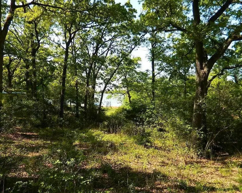 TBD Country Road 371, Jewett, TX 75846 - #3