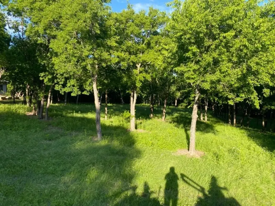 6537 Shoreline Drive, Little Elm, TX 75068 - Image #2