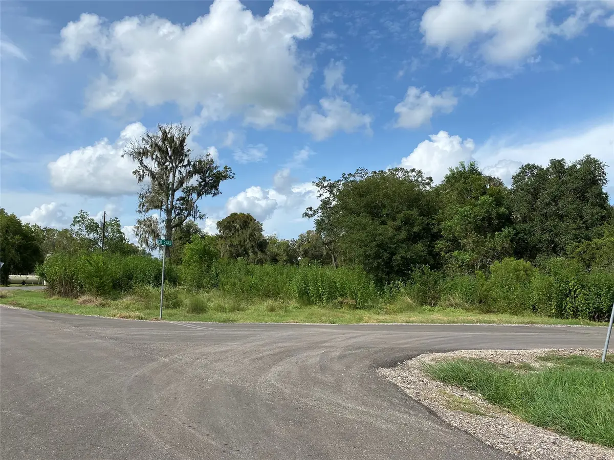 4292 Blue Lake Road, Angleton, TX 77515 - #1