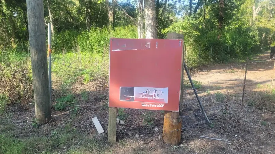 4292 Blue Lake Road, Angleton, TX 77515 - #3