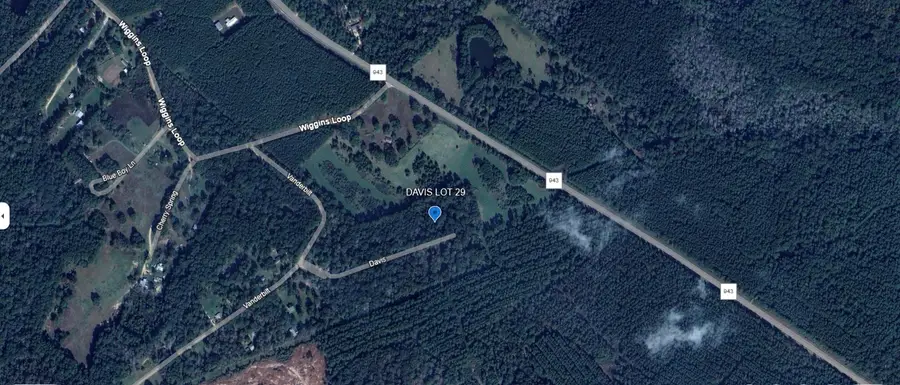 TBD Davis Lot 29, Livingston, TX 77351 - #2