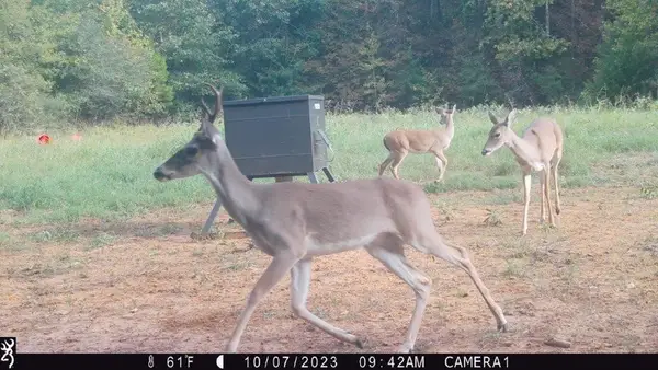 000 NW Fm 1511 N, Oakwood, TX 75855