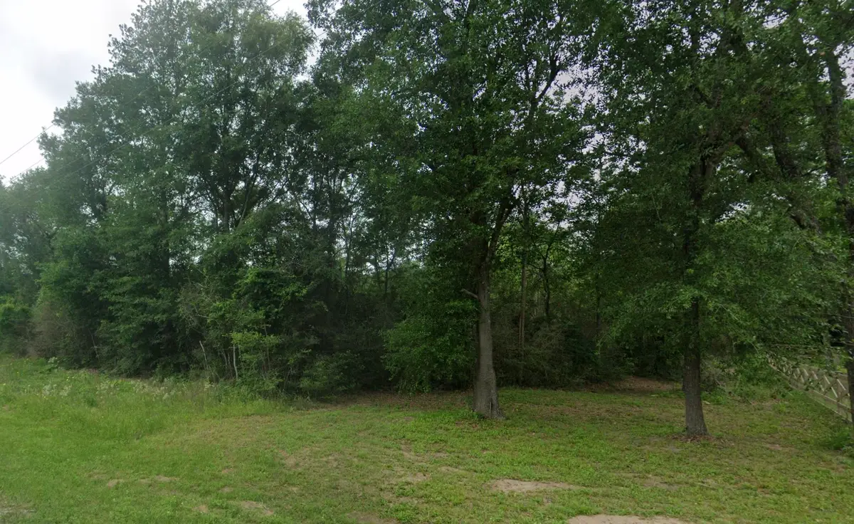 0 Kerry Street, Hempstead, TX 77445 - Image #1